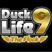Duck Life 9